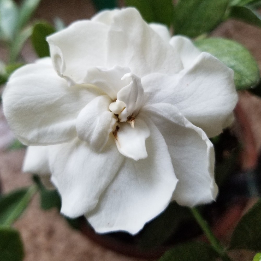 Meet your Posher, Posh